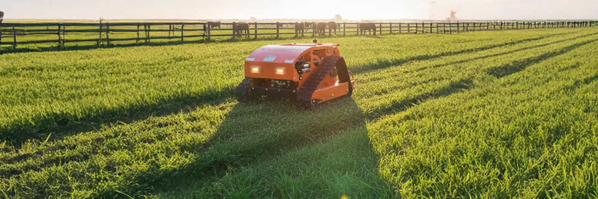 Foto do Robô Cortador de Grama Vant Orange Line